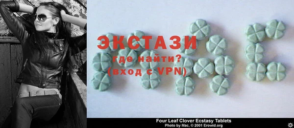 индика Ельня