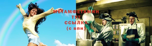 индика Ельня