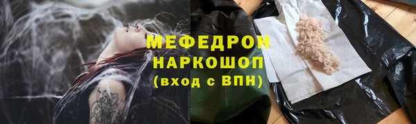 индика Ельня