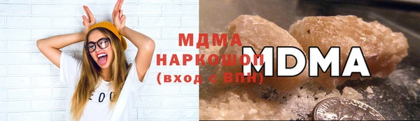 индика Ельня
