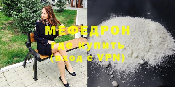 индика Ельня