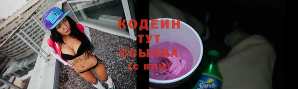 индика Ельня