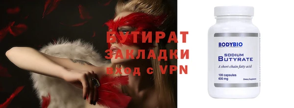 индика Ельня