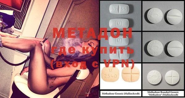 индика Ельня