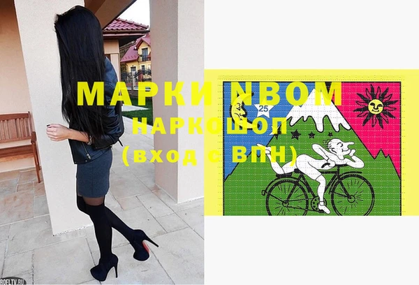 индика Ельня