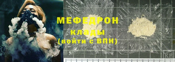 индика Ельня