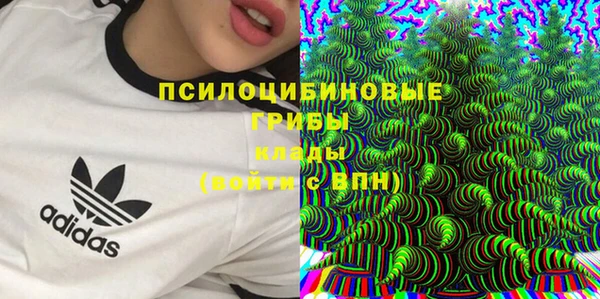 трава Чердынь