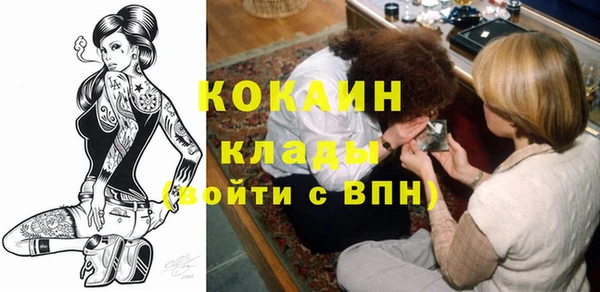 индика Ельня