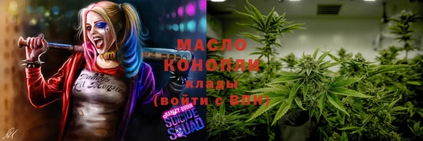 индика Ельня