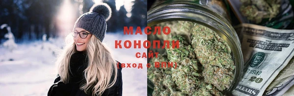 индика Ельня