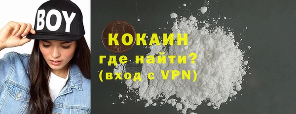 индика Ельня